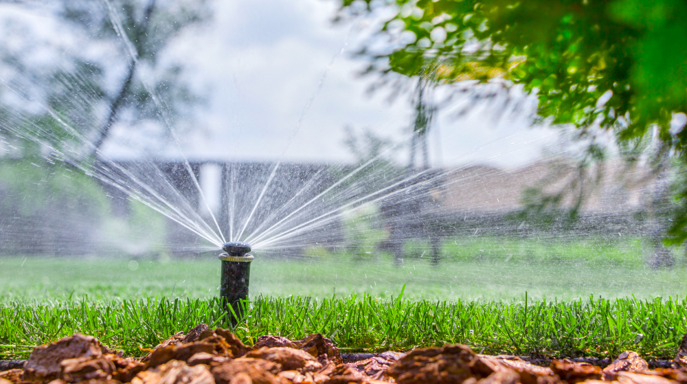 irrigation